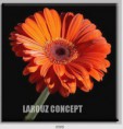 /album/photo-gallery-canvas-uri/decoratiuni-de-perete-canvas-lc-0585-jpg/
